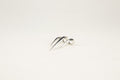 TRIPLE CLAW RING