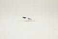 HORIZONTAL CLAW RING